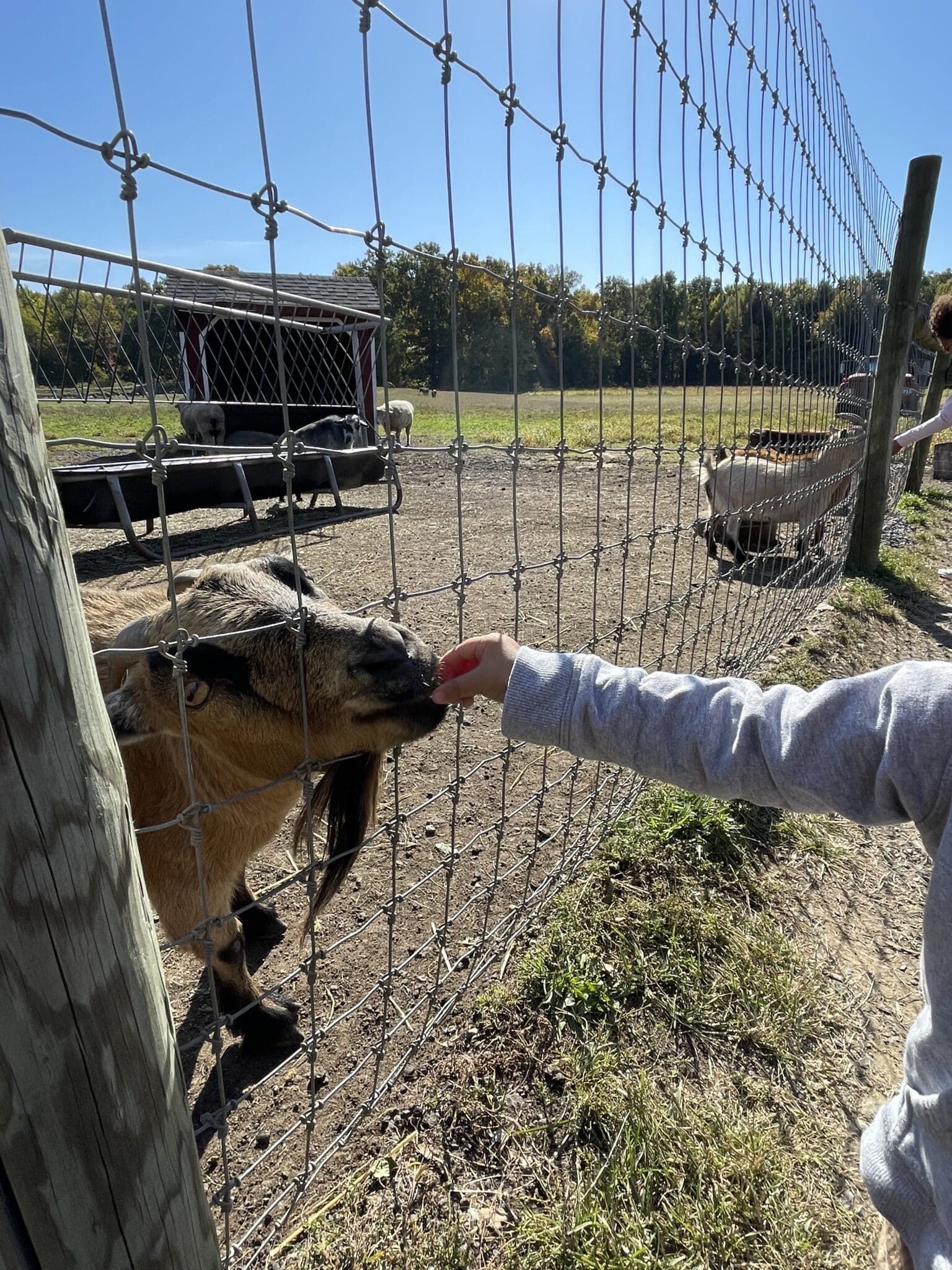 Terhune Orchards