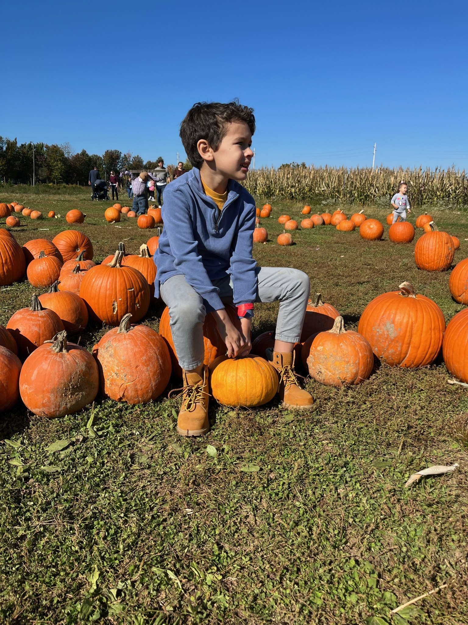 Terhune Orchards