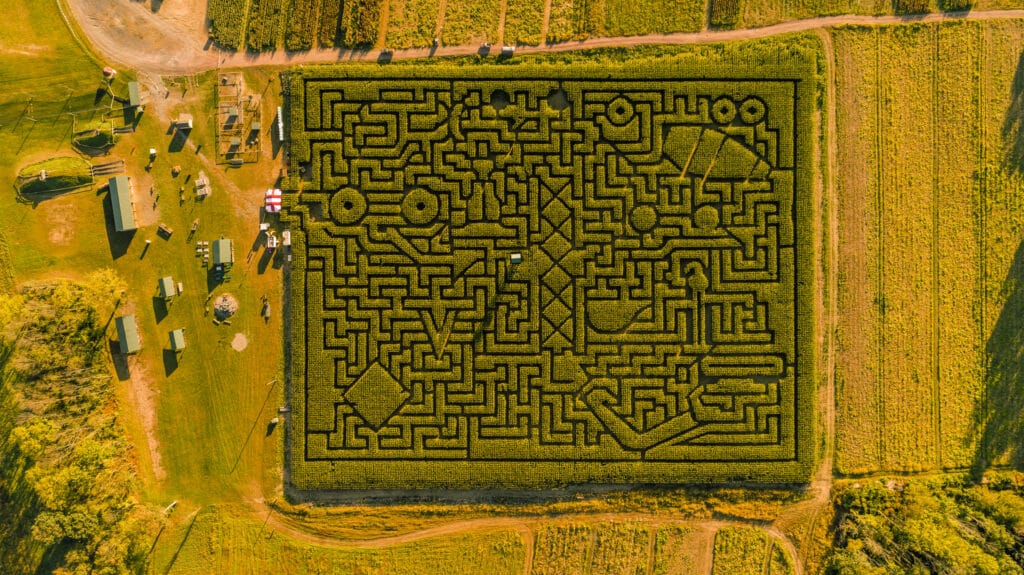 corn maze in New Jersey