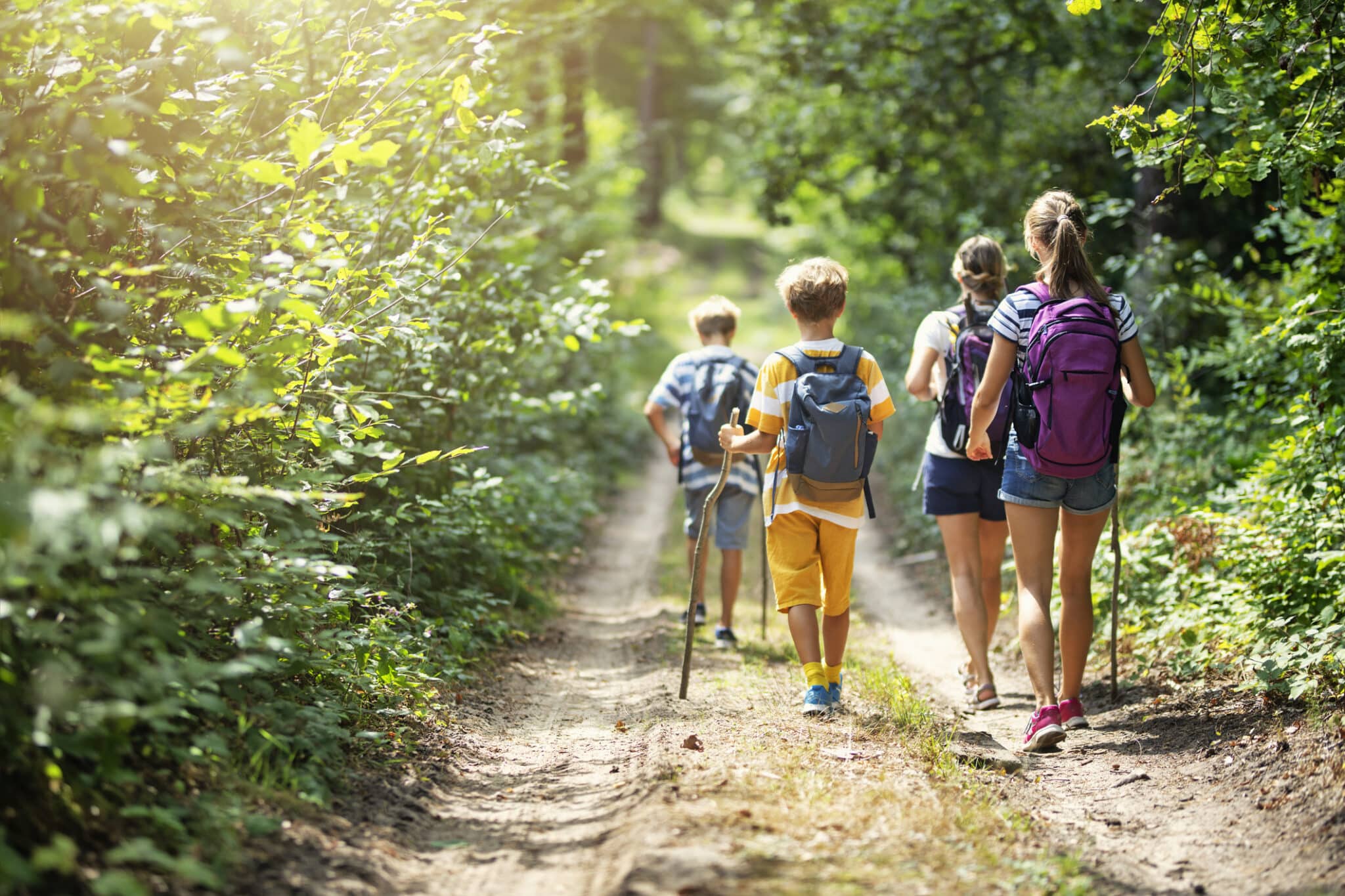 hiking trails in NJ