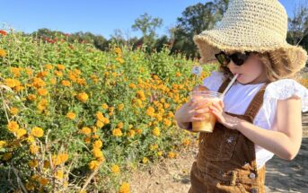 Terhune Orchards