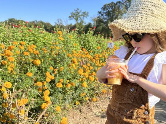 Terhune Orchards