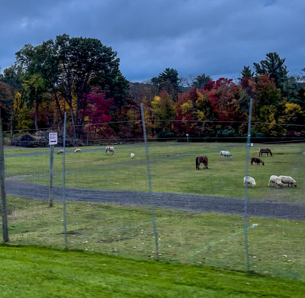Alstede Farms nj mom