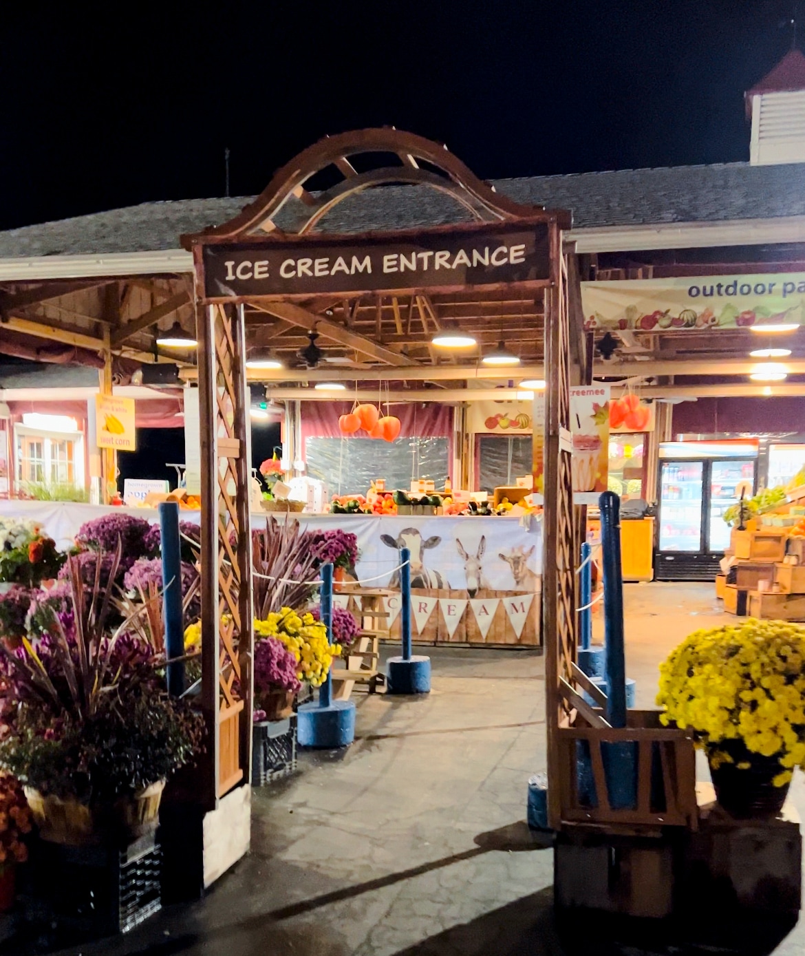 ice cream Alstede nj mom