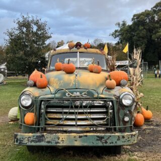 Alstede Farms