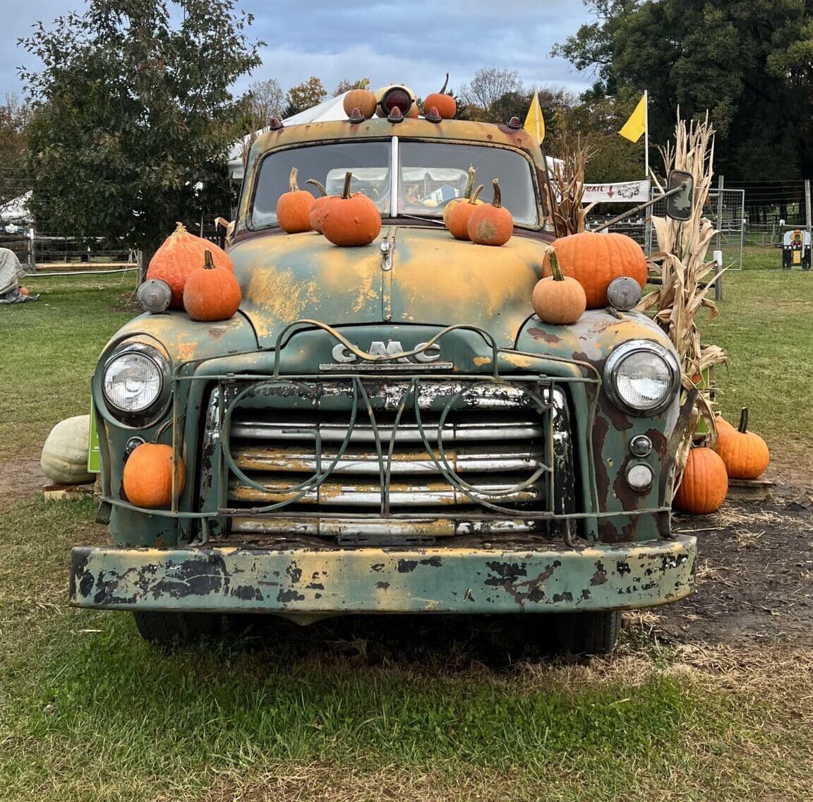 Alstede Farms
