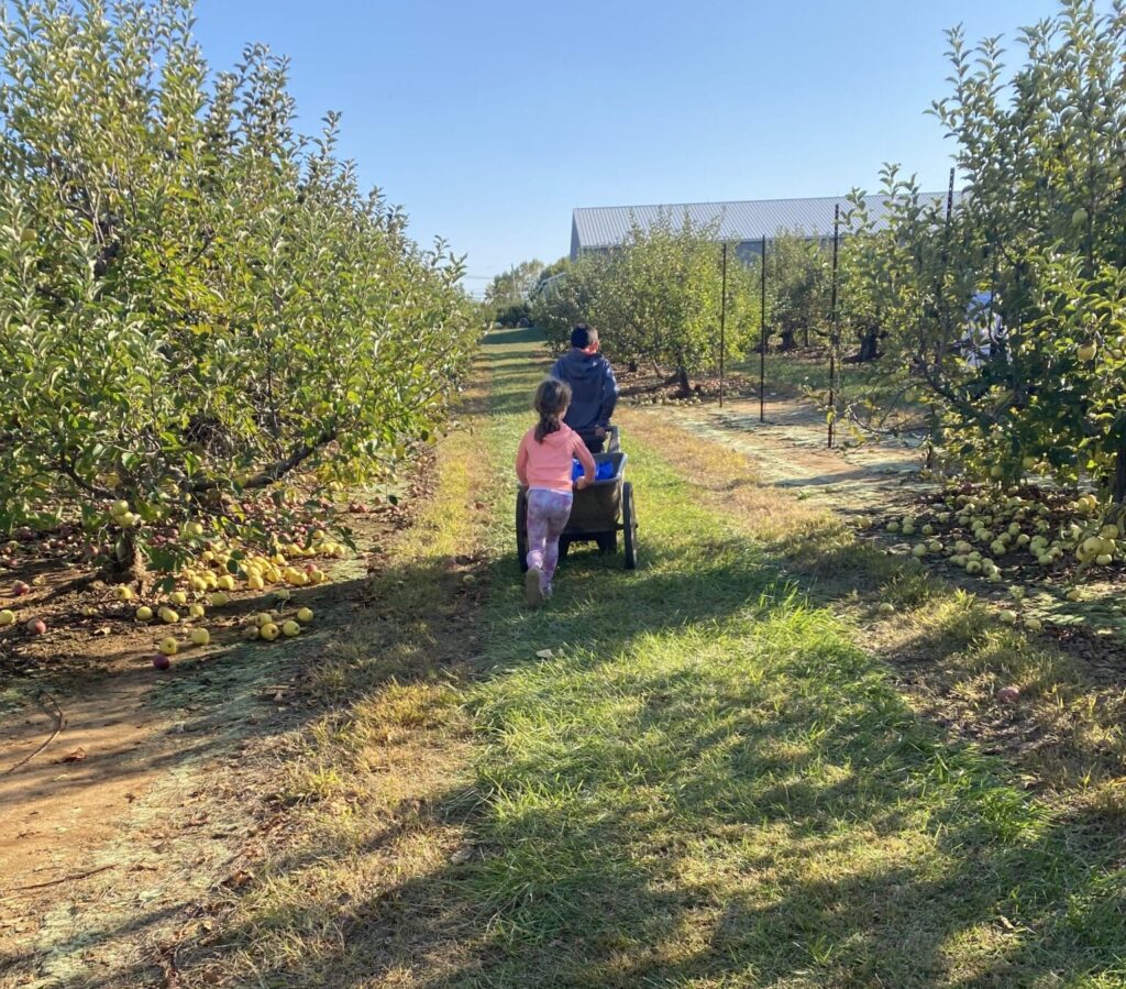 Eastmont Orchards cart