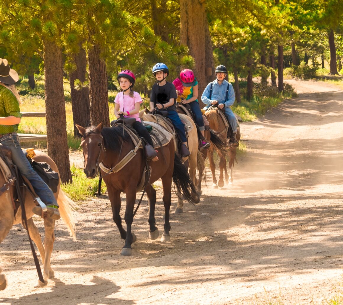 horseback riding in NJ