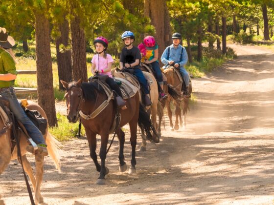 horseback riding in NJ