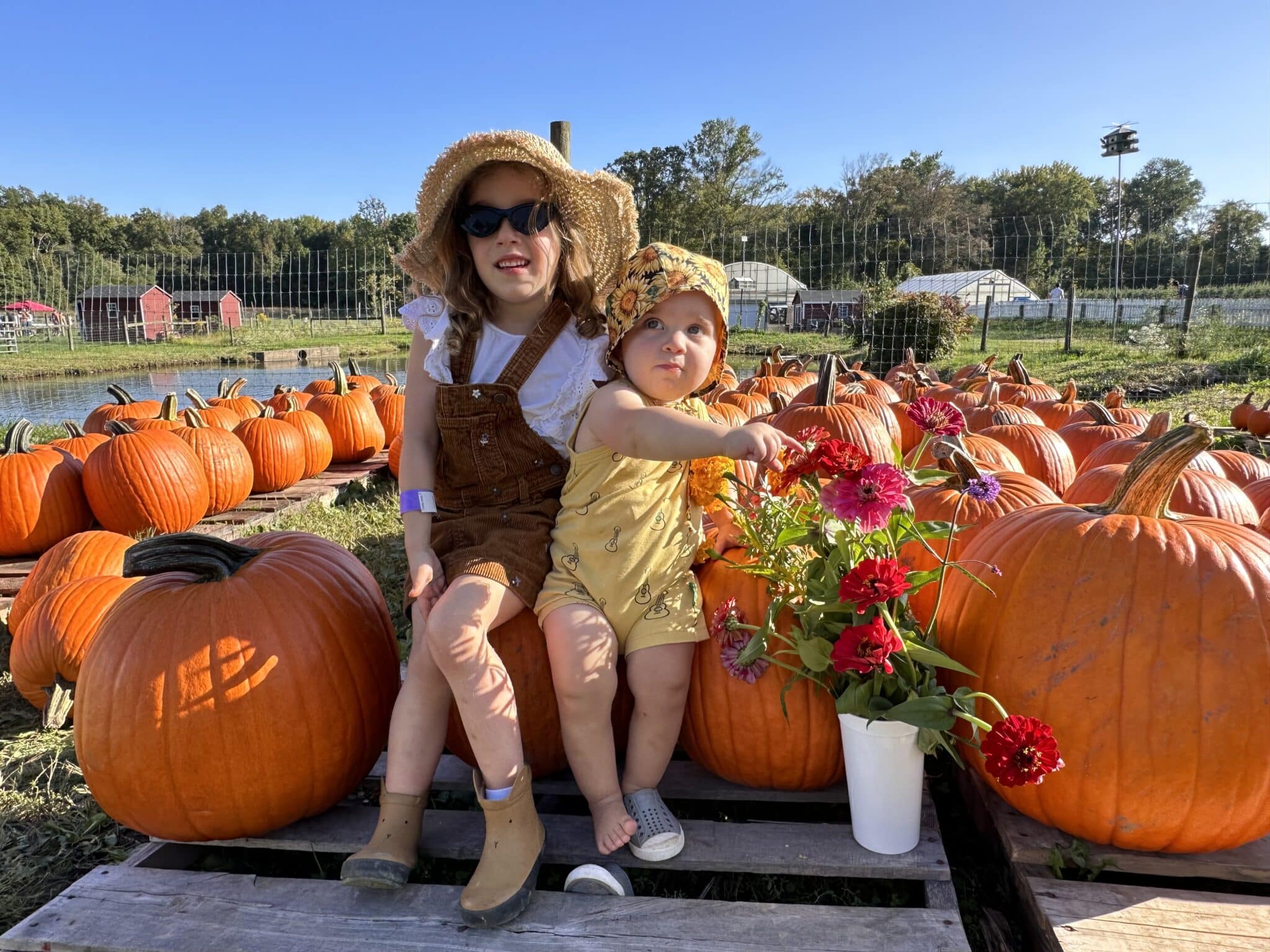 Terhune Orchards nj mom