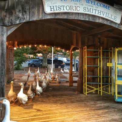Historic Smithville Village