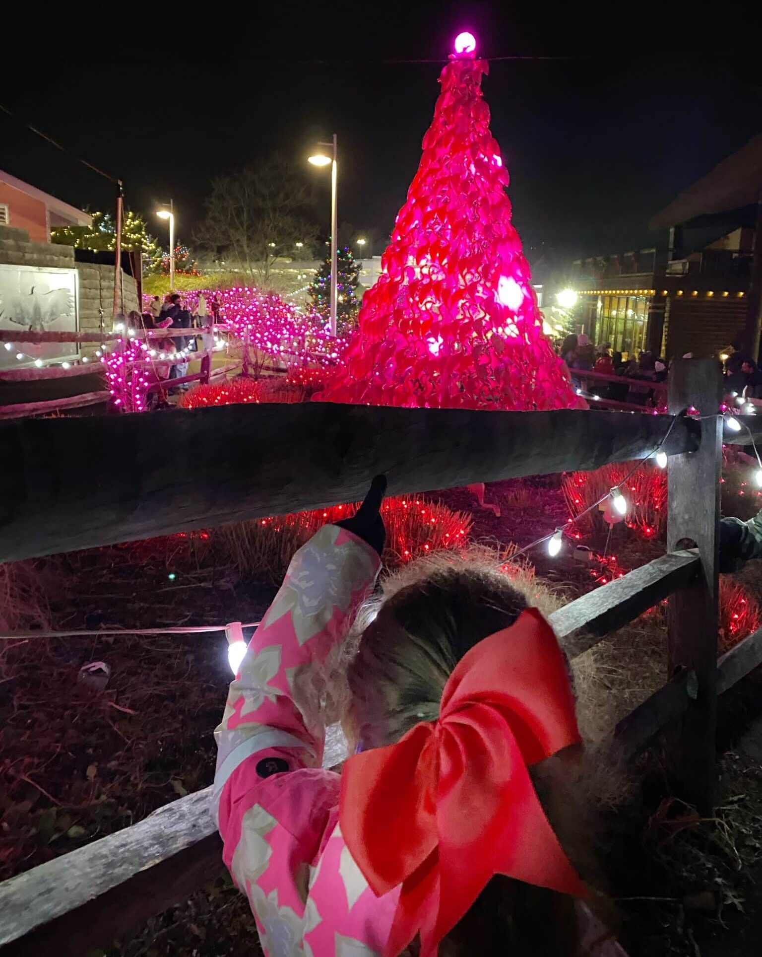 holidays lights Turtle Back Zoo xmas lights flamingo