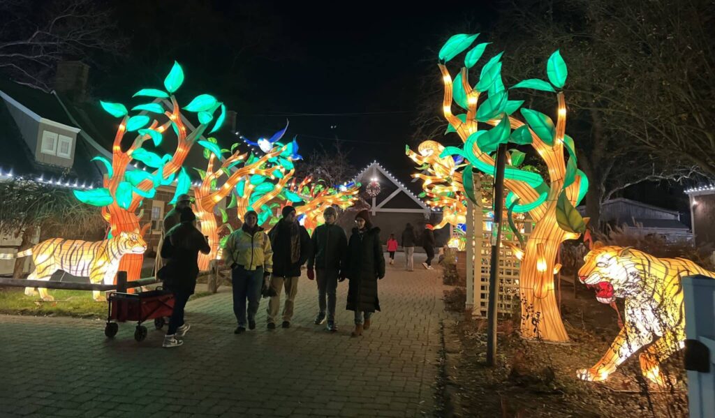 Let it glow tiger Van Saun Park