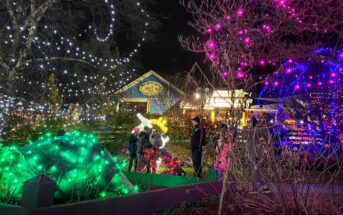 holiday lights turtle back zoo nj mom pink