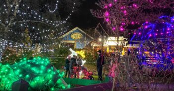 holiday lights turtle back zoo nj mom pink