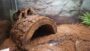 Insectropolis Nj Insectropolis: Exploring The Bugseum Of New Jersey - NJ Mom
