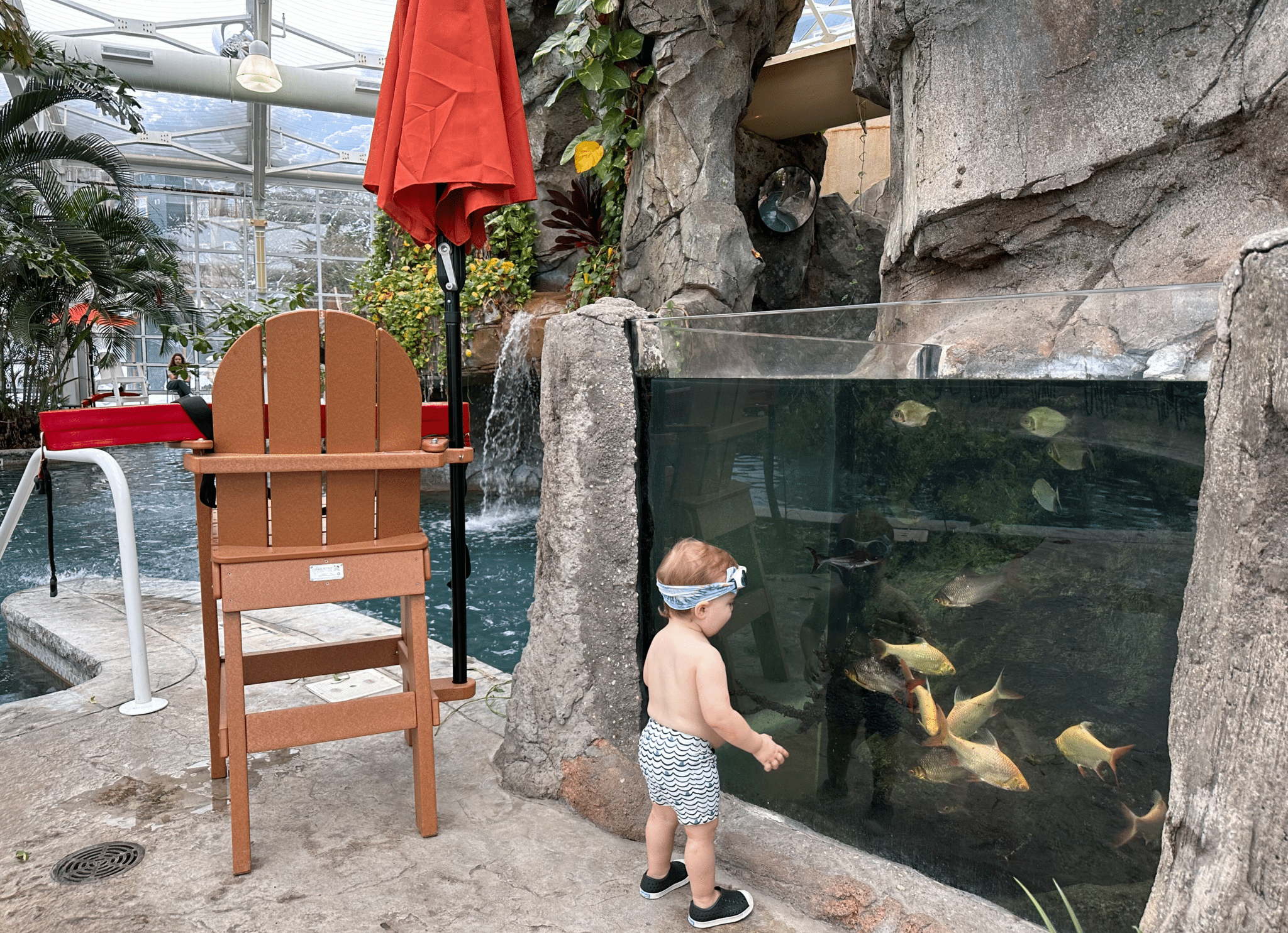 Crystal Springs Resort fish aquarium