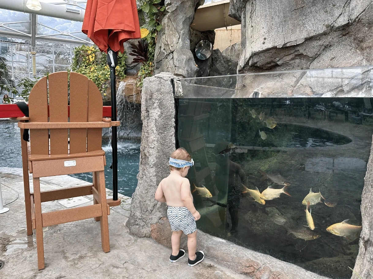 Crystal Springs Resort fish aquarium