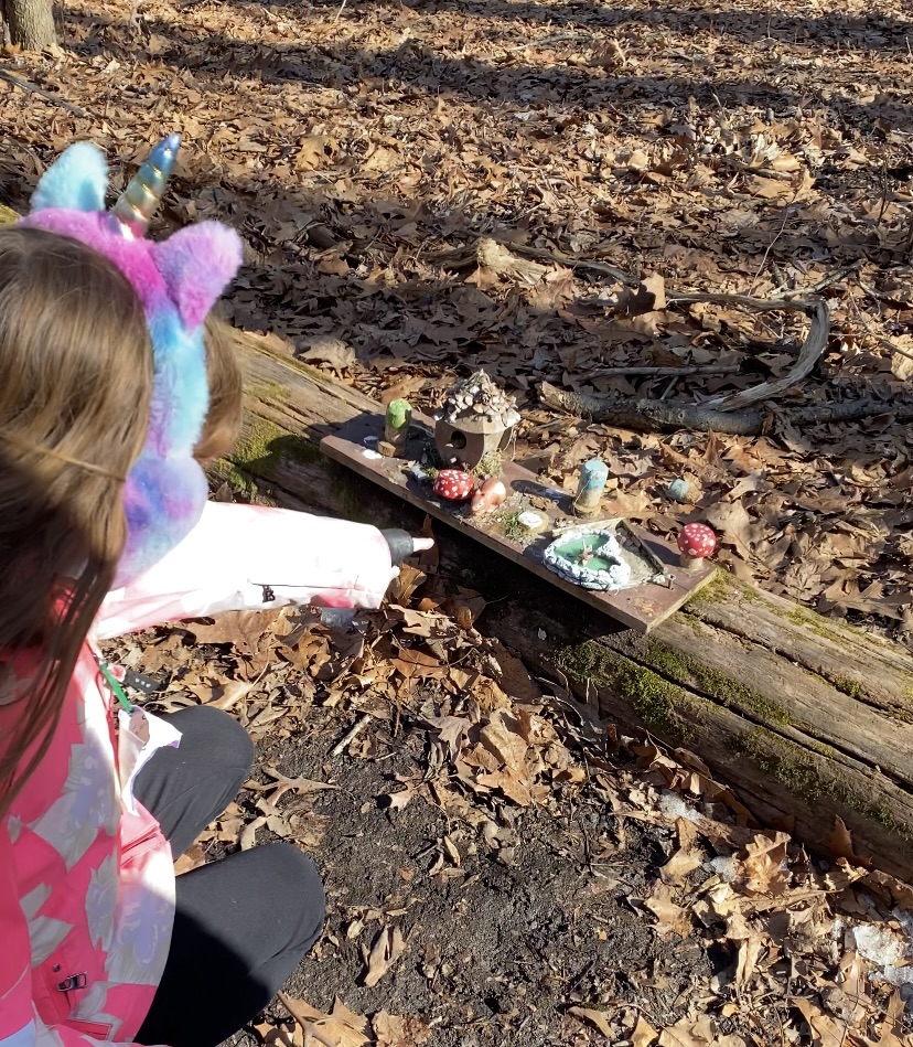 Tenafly Nature Center maple sugaring faerie trail