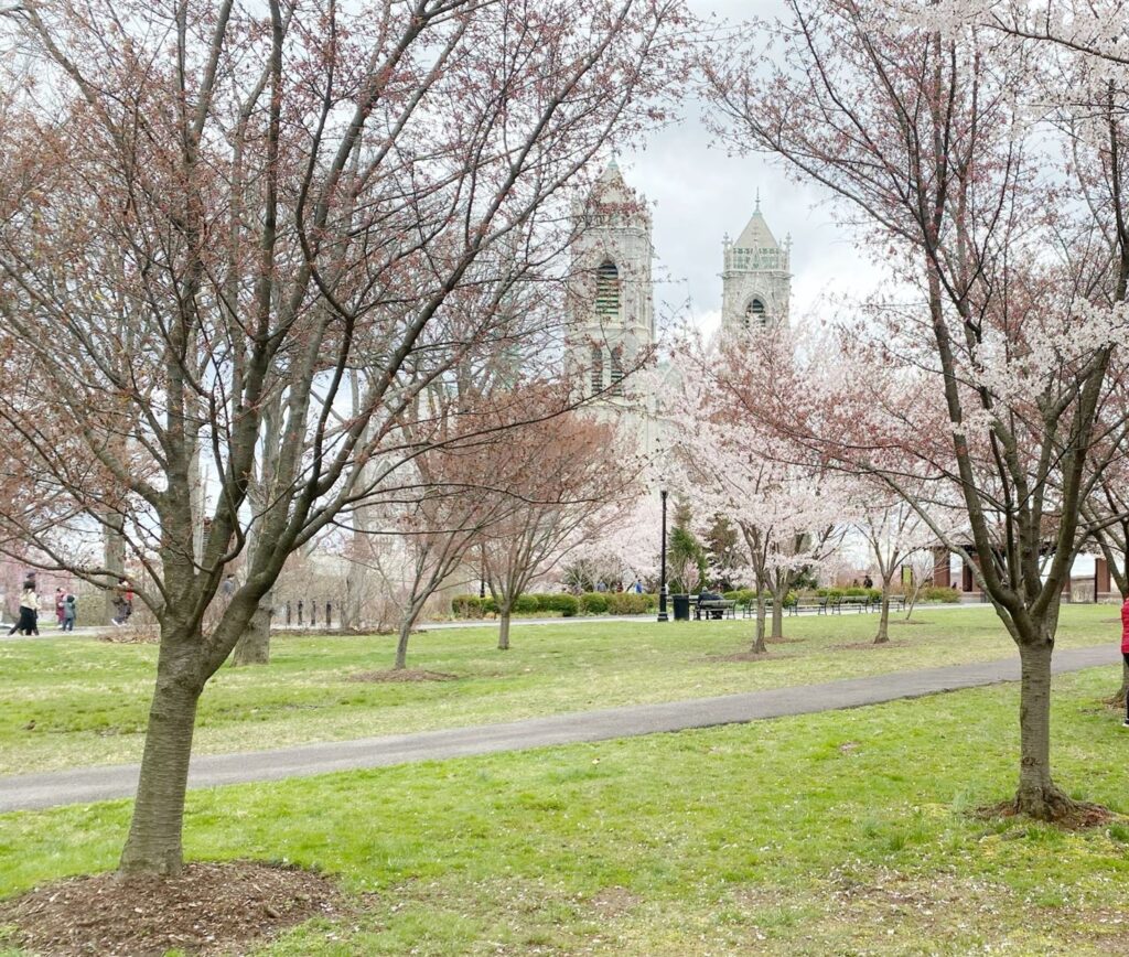 Parks in NJ, Branch Brook Park