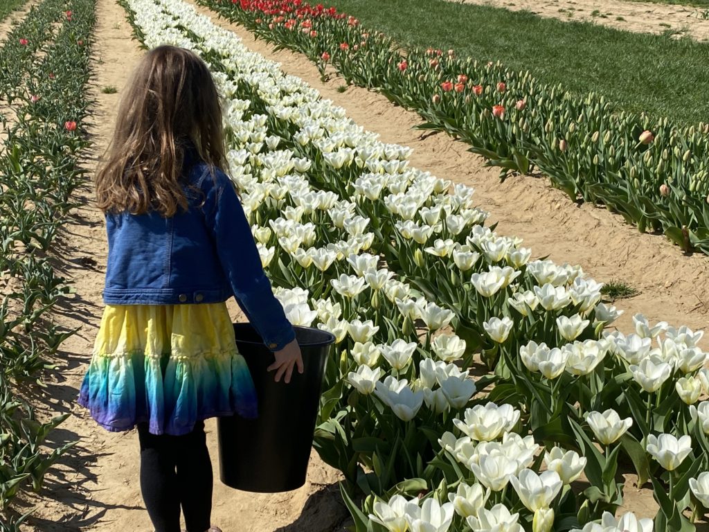 flower picking bucket at Holland Ridge Farms nj mom