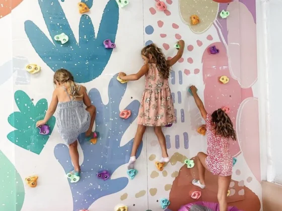Huckleberry Play climb