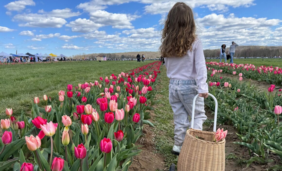 spring festivals nj mom