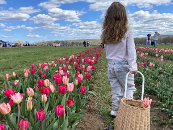 spring festivals nj mom