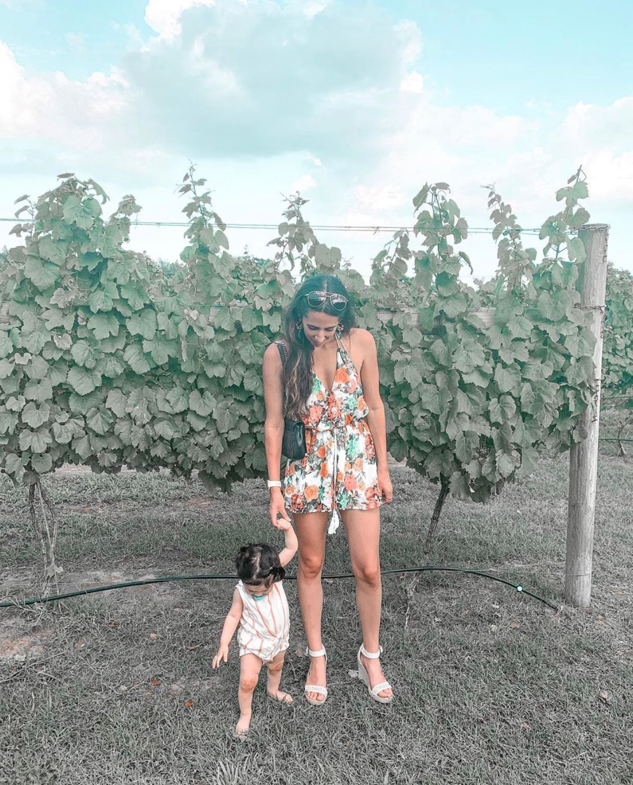 walking through the vineyard