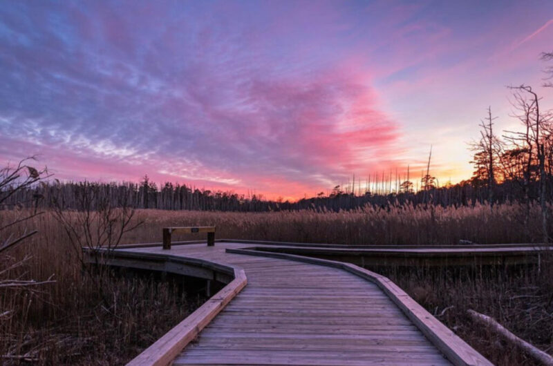 cattus island county park 