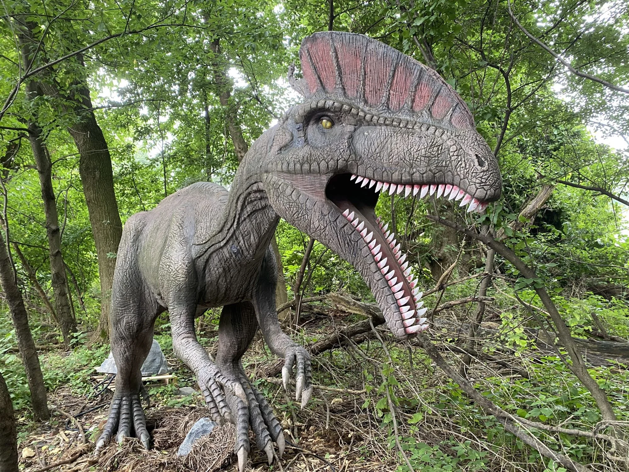 Field Station Dinosaurs roar nj mom