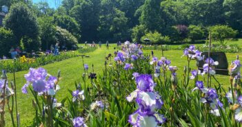 Presby Memorial Iris Gardens field