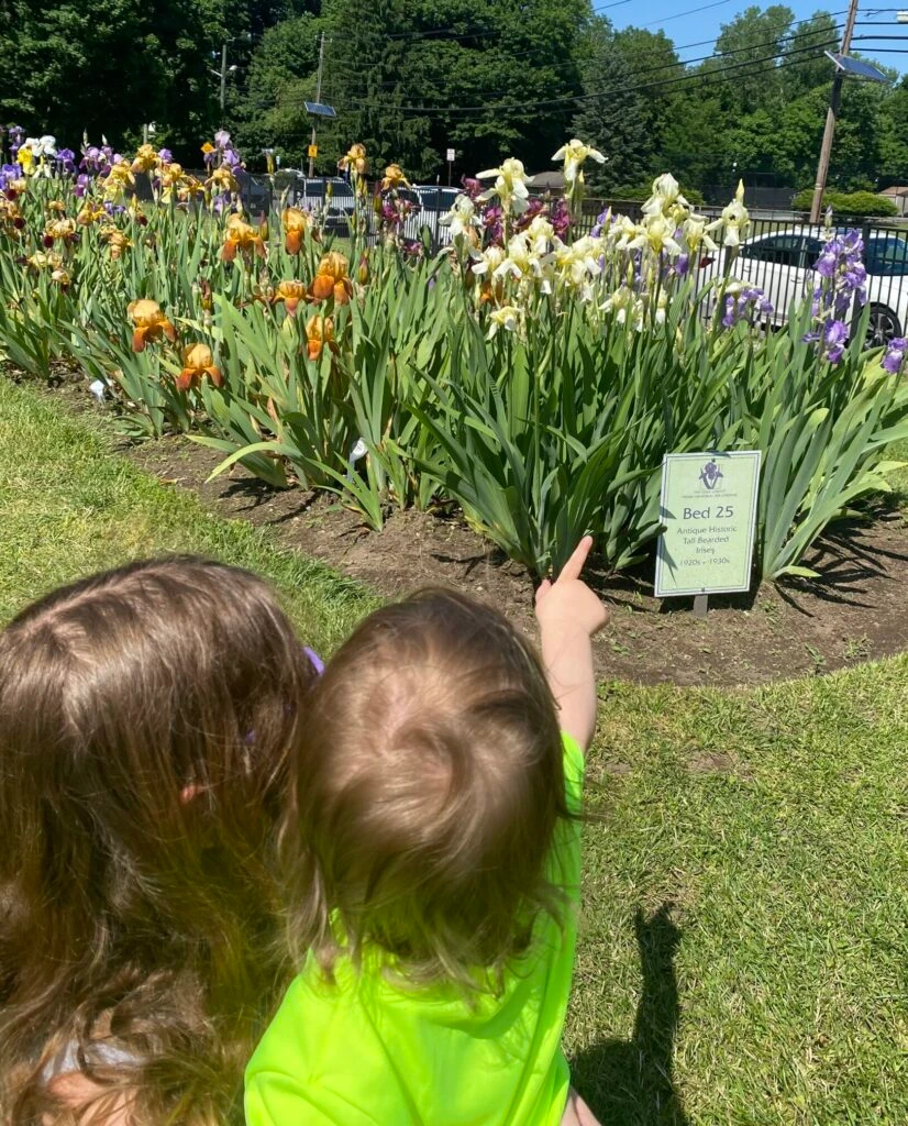 Presby Memorial Iris Gardens iris nj mom