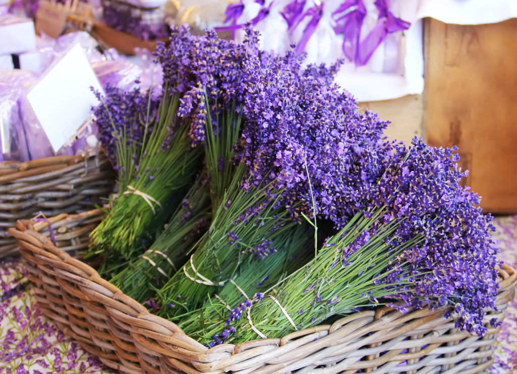 lavender bundles