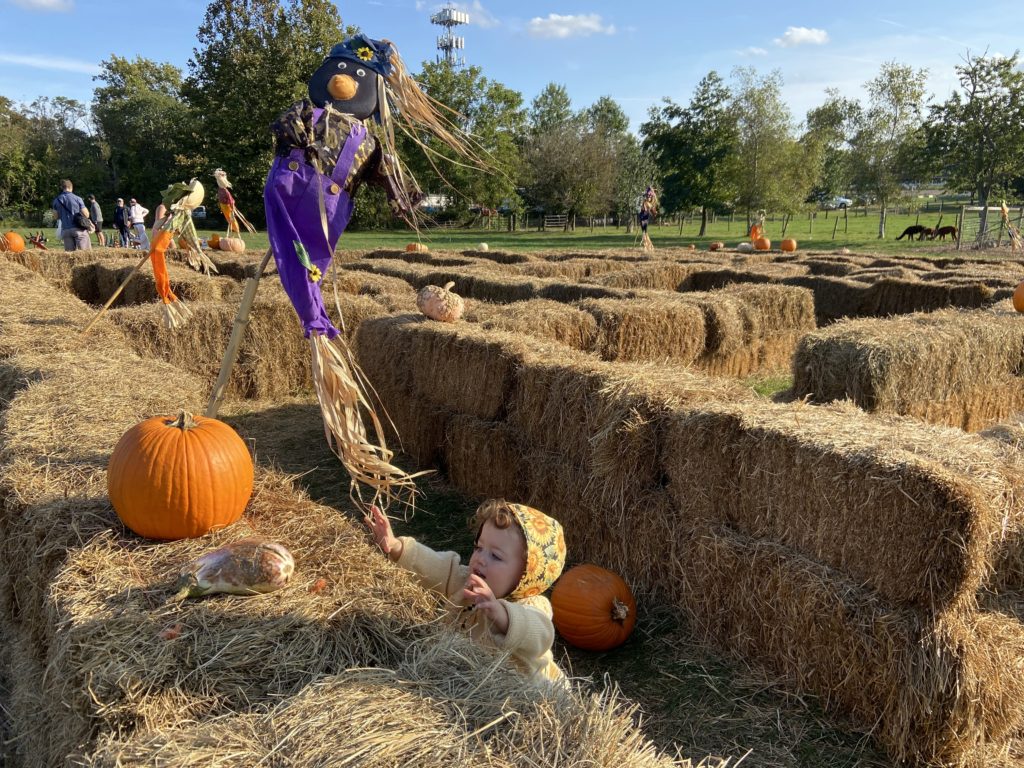 Atlantic Farms maze New Jersey