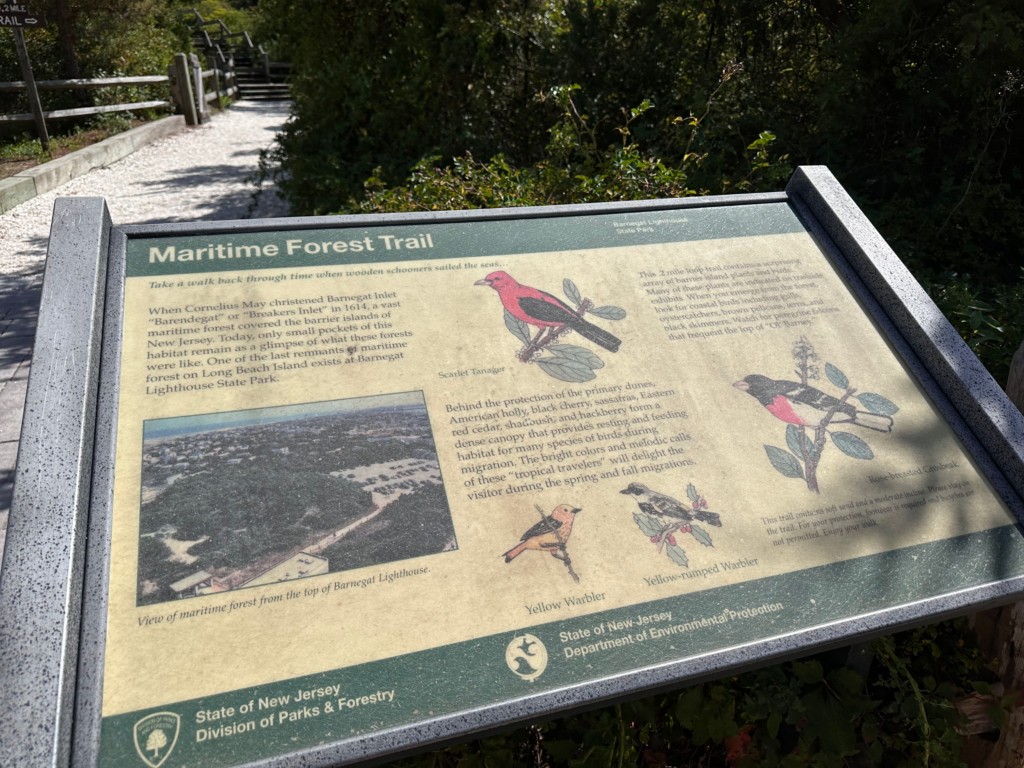 Barnegat Lighthouse Trail