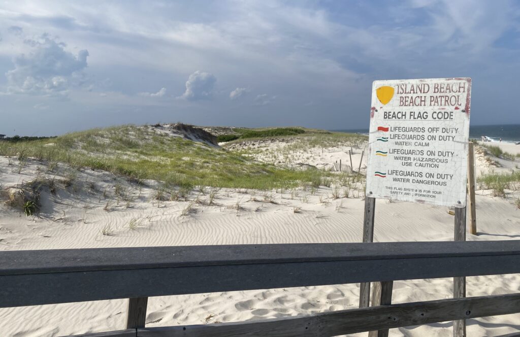 Island Beach State Park dunes