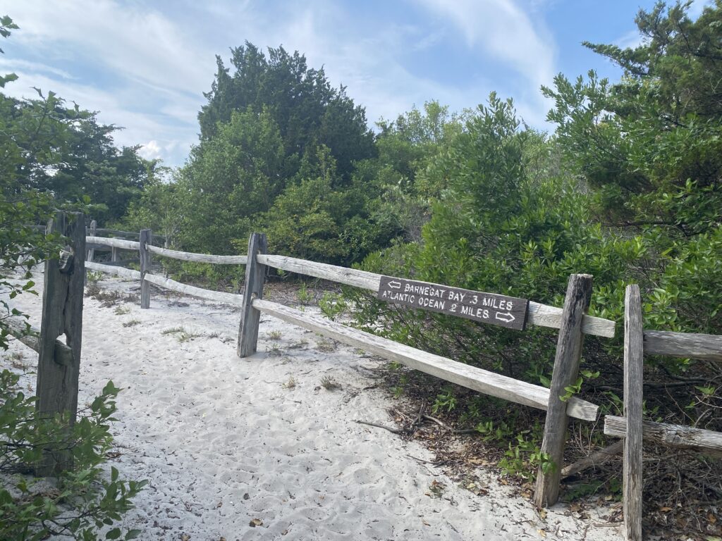 Island Beach State Park trail