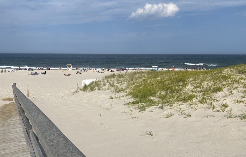 Island Beach State Park water