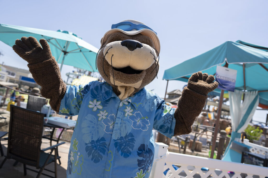 Casino Pier beach