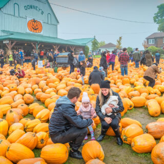 fall festivals nj mom