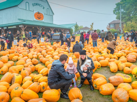 fall festivals nj mom