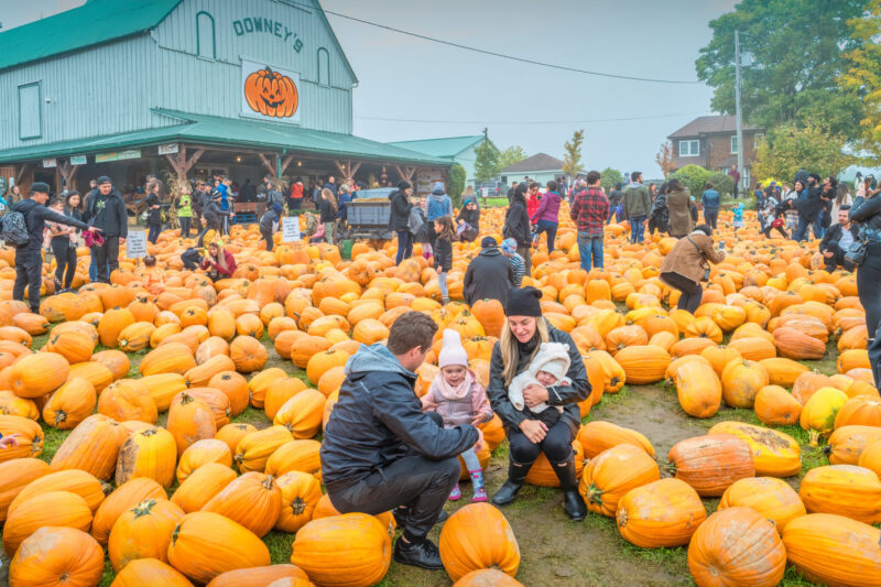 fall festivals nj mom