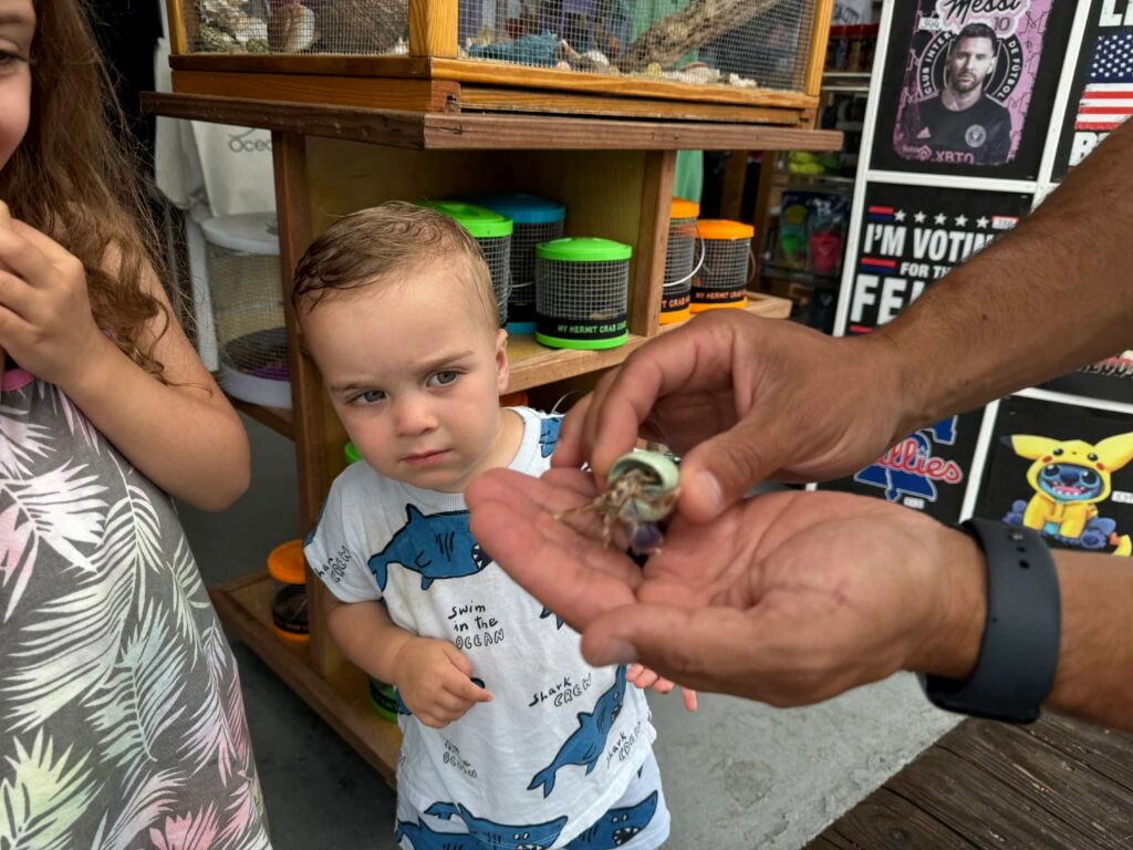 Ocean City boardwalk crab nj mom