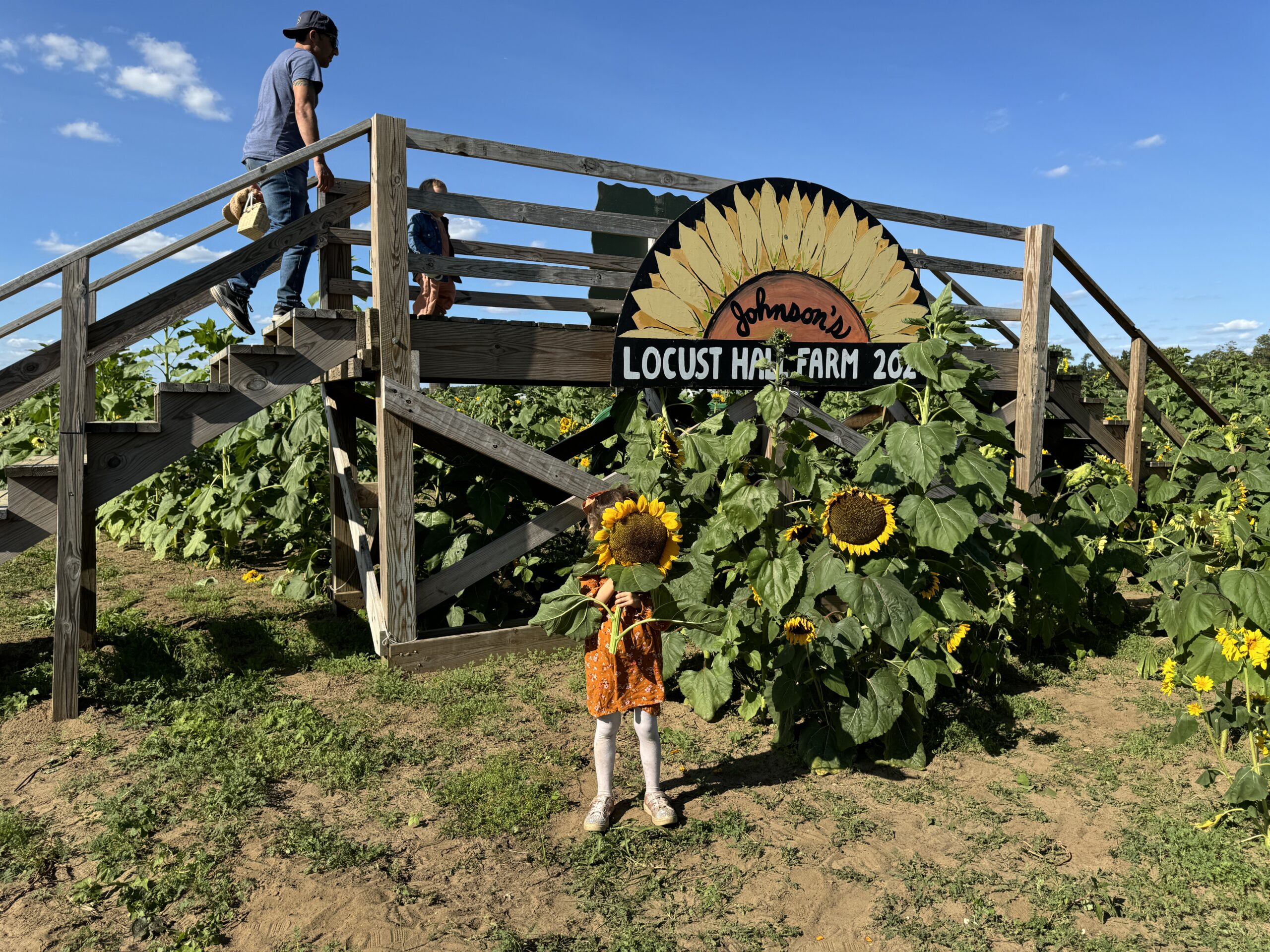 Johnson's Locust Hall Farm sun nj mom