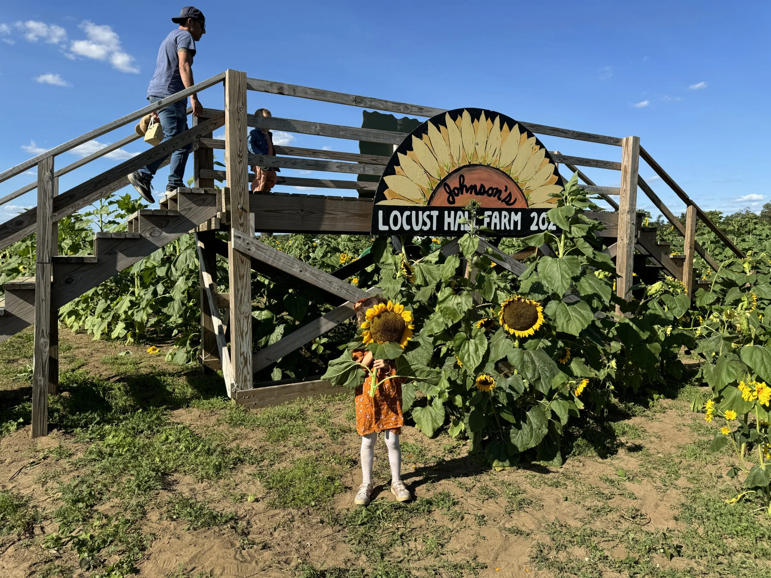 Johnson's Locust Hall Farm sun nj mom