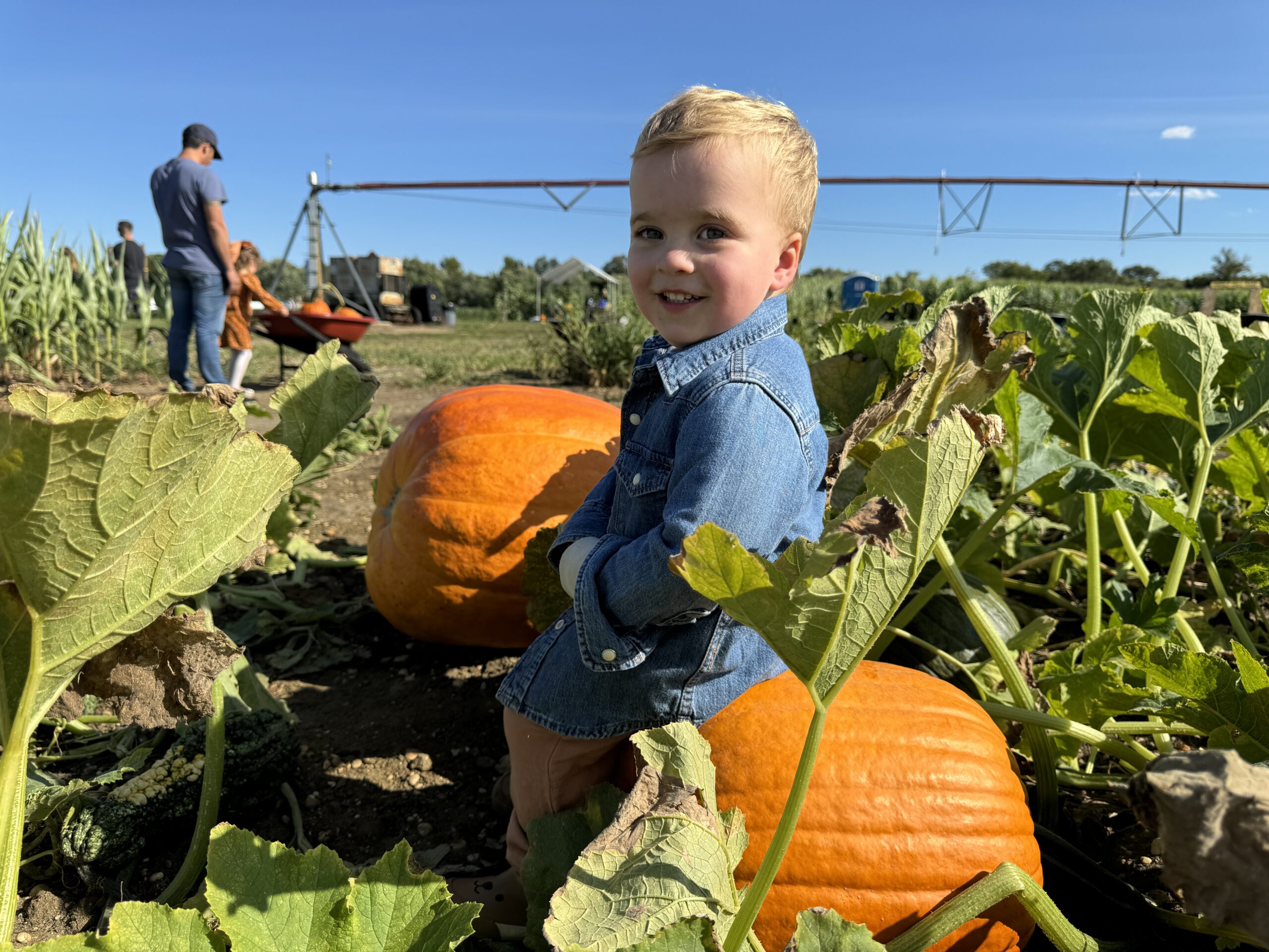 Johnson's Locust Hall Farm