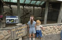 popcorn park zoo aviary nj mom