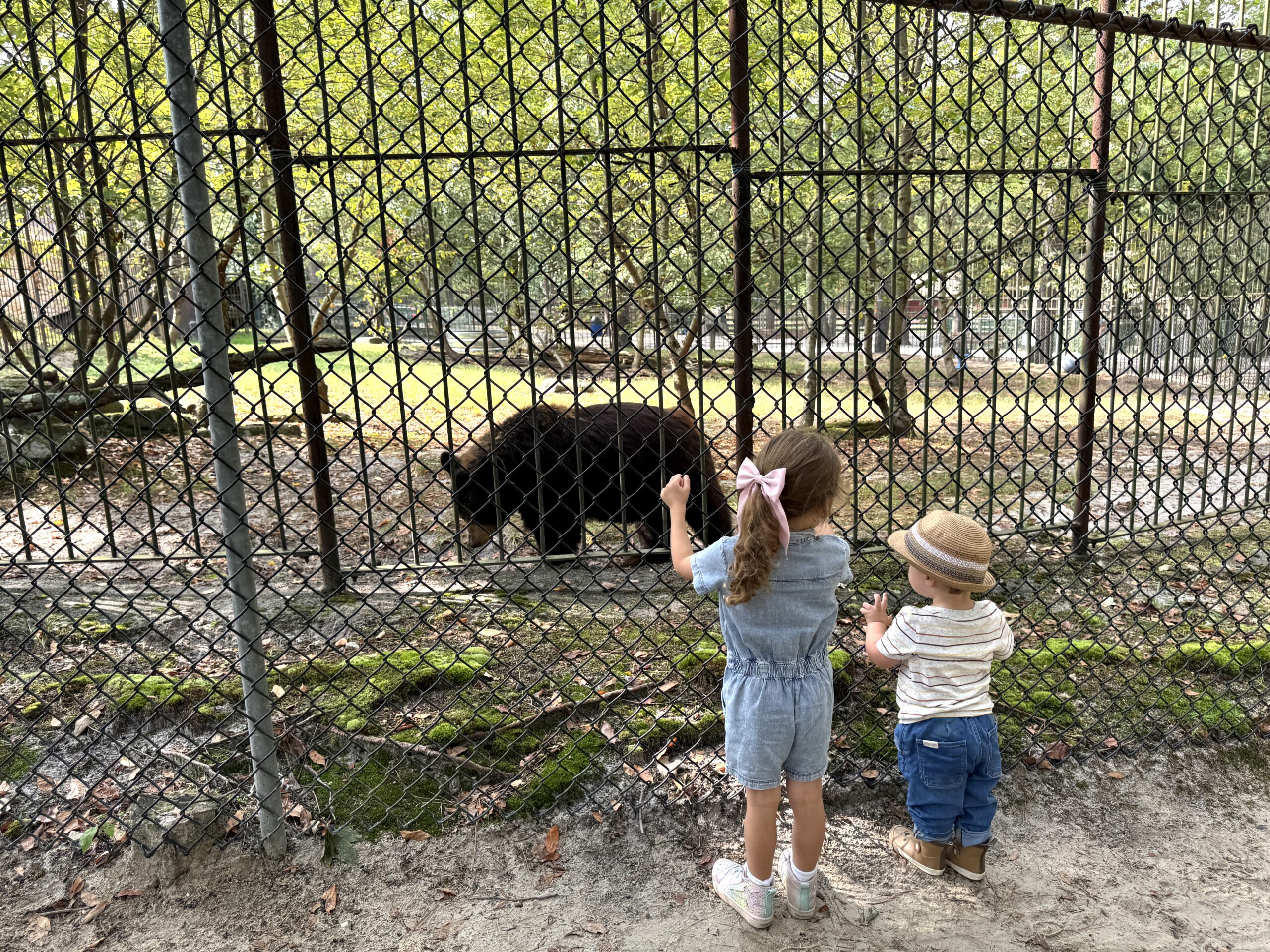 Popcorn Park Zoo bear nj mom