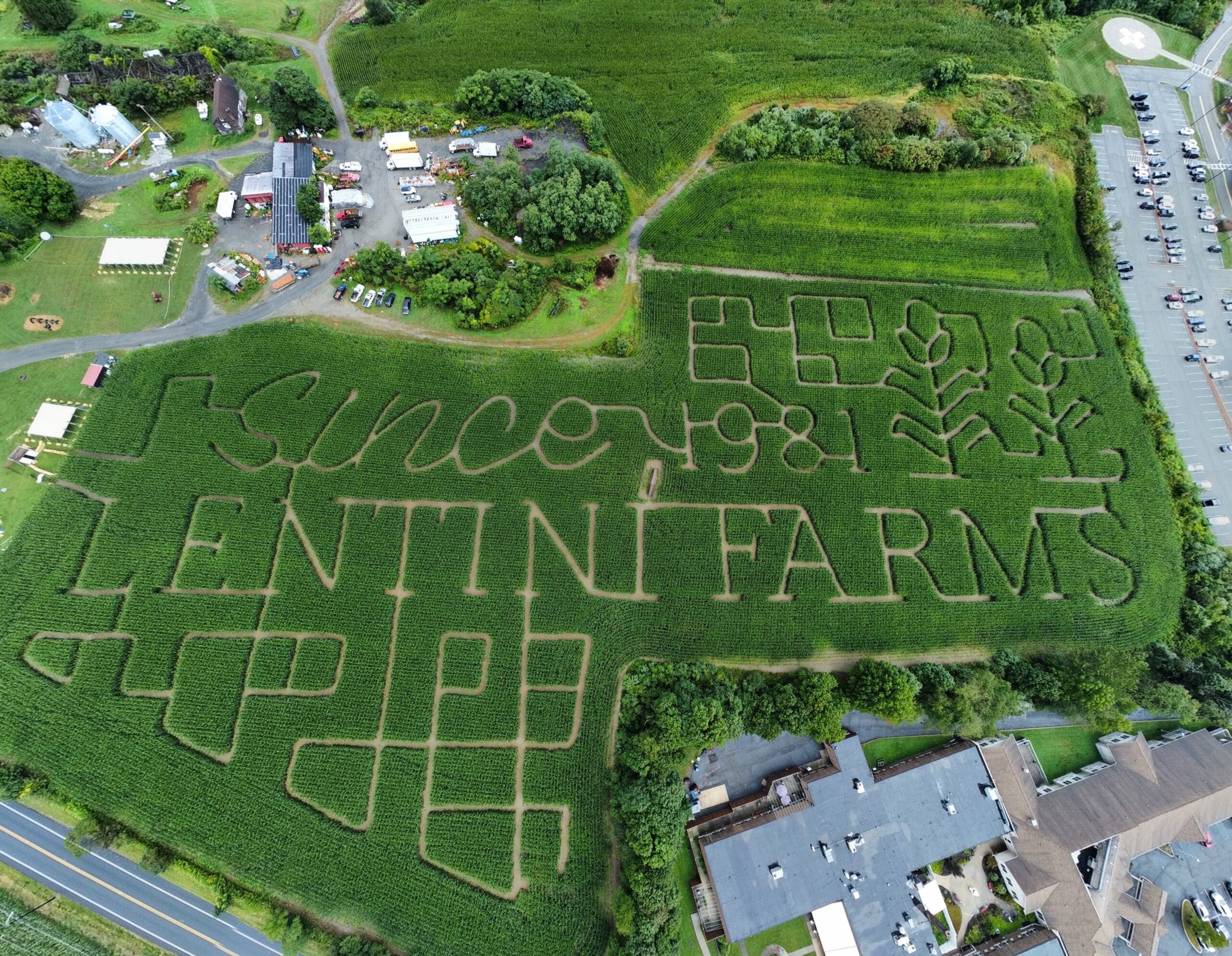 lentini farms cornfields nj mom